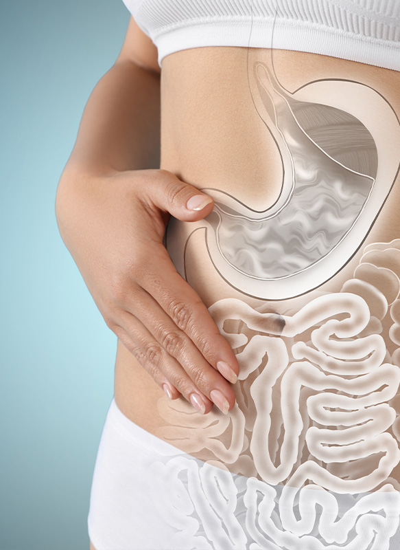 Screening Colon Retto